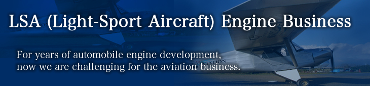 LSA (Light-Sport Aircraft) Engine Business