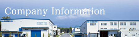 Company information